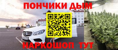спайс Берёзовский
